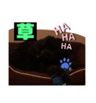 林コジ（個別スタンプ：7）