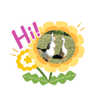湧大趣味事（個別スタンプ：3）