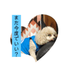 familyやまと（個別スタンプ：3）