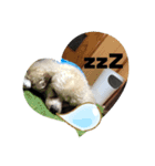 familyやまと（個別スタンプ：8）