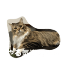 ぎんたかえいと（個別スタンプ：5）