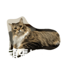 ぎんたかえいと（個別スタンプ：6）