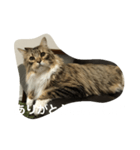 ぎんたかえいと（個別スタンプ：7）
