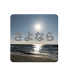 風景＋ネコ スタンプ（個別スタンプ：3）
