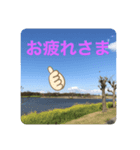 風景＋ネコ スタンプ（個別スタンプ：6）