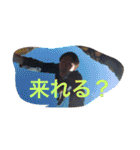 髪があるうちにスタンプにしとくスタンプ②（個別スタンプ：15）