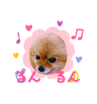 子熊のぽぽぽでちゅ！（個別スタンプ：3）