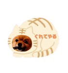 子熊のぽぽぽでちゅ！（個別スタンプ：6）