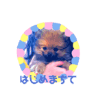 子熊のぽぽぽでちゅ！（個別スタンプ：16）