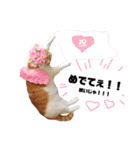 うなちゃんのガッツリ岡山弁スタンプ（個別スタンプ：19）