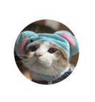 ブサイク猫ちゃん2（個別スタンプ：3）