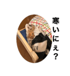 こねスタ2（個別スタンプ：3）