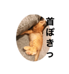 こねスタ2（個別スタンプ：5）