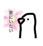 糸文鳥（個別スタンプ：6）