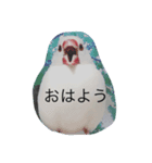 糸文鳥（個別スタンプ：15）