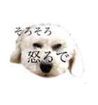 あっくんなっちゃん（個別スタンプ：3）