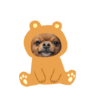 いとしのこてつん（個別スタンプ：4）