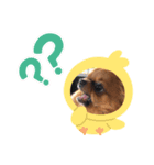 いとしのこてつん（個別スタンプ：6）