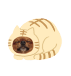 いとしのこてつん（個別スタンプ：8）