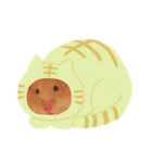 ハムスタークマ美（個別スタンプ：6）
