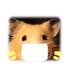 ハムスタークマ美（個別スタンプ：7）