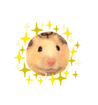 ハムスタークマ美（個別スタンプ：8）