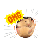 ハムスタークマ美（個別スタンプ：10）