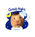 ハムスタークマ美（個別スタンプ：13）