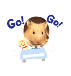 ハムスタークマ美（個別スタンプ：16）