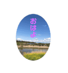 風景＋ネコ#0（個別スタンプ：4）