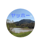 風景＋ネコ#0（個別スタンプ：5）
