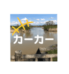 風景＋ネコ#0（個別スタンプ：7）