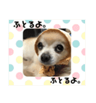 むむとちょちょ3（個別スタンプ：5）