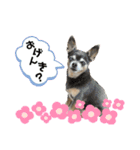 むむとちょちょ3（個別スタンプ：7）