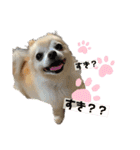 むむとちょちょ3（個別スタンプ：15）