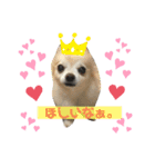 むむとちょちょ3（個別スタンプ：16）