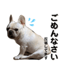 八朔スタンプ20200501（個別スタンプ：3）