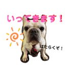 八朔スタンプ20200501（個別スタンプ：4）