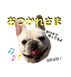 八朔スタンプ20200501（個別スタンプ：6）