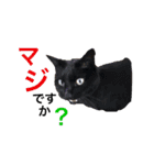 みゑの家族（個別スタンプ：2）
