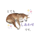 みゑの家族（個別スタンプ：3）