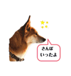 みゑの家族（個別スタンプ：23）