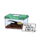 趣味はパイナップルスタンプ（個別スタンプ：21）