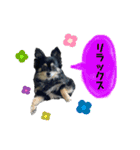 くうたんスタンプ913（個別スタンプ：8）