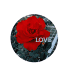 Love,and（個別スタンプ：2）