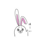 長い耳のウサギ（個別スタンプ：2）