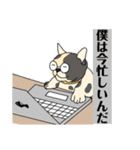 たぐちゃんスタンプ.（個別スタンプ：30）