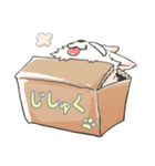 自粛ねこ（個別スタンプ：1）