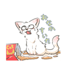 自粛ねこ（個別スタンプ：21）