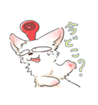 自粛ねこ（個別スタンプ：40）